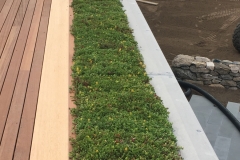 974Green Roof
